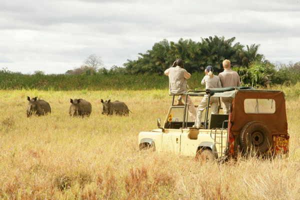 Elsa's Kopje Kenya Safari Lodge