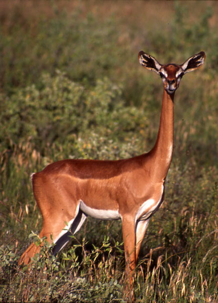 Queen Elizabeth National Park Uganda