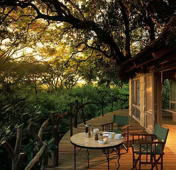 African Safari Lake Manyara Tree Lodge Tanzania 7